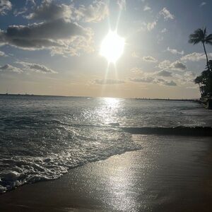 Meet your Posher, Jayne